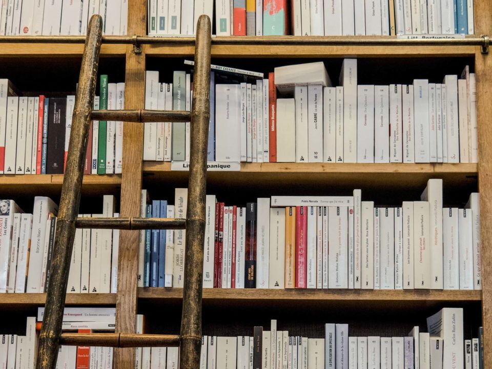 shelf full of books with a ladder